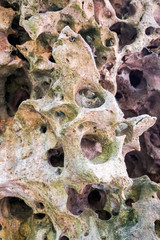 Nature cliff stone relief, dried coral reef wall at beach