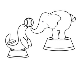 seal with elephant of circus with ball