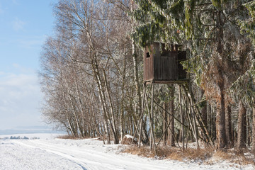 Field  with hunting bryony on edge forest.