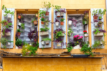 Aix-en-Provence. Window in the orange facade of the old house decorated with flowers.