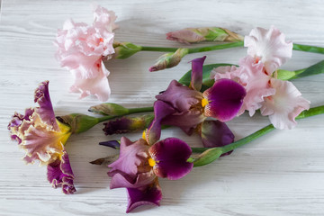 Fototapeta na wymiar flowers irises on light wooden background