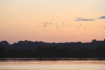 sky