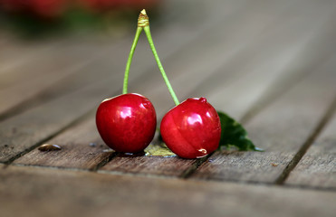 two red sweet cherries with rain drops