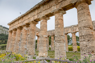 Fototapeta premium Temple de Ségeste, Sicile
