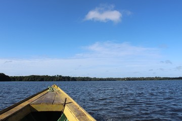 rio amazônico