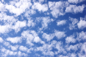 White clouds in the blue sky. Spring and summer .