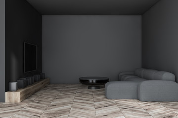 Gray living room with TV and sofa