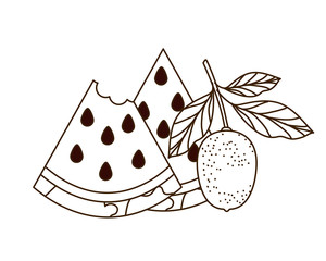 delicious tropical fruits of summer on white background