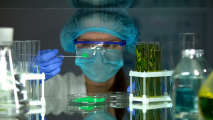 Researcher comparing green preservative agent with plant in tube, influence