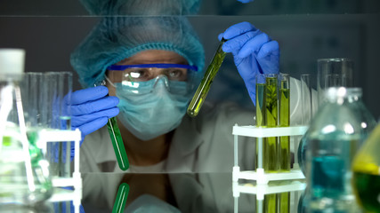 Scientist comparing plant samples in different liquids, preservative agent study
