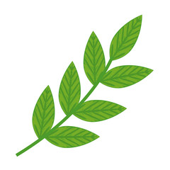 branch with leafs ecology icon