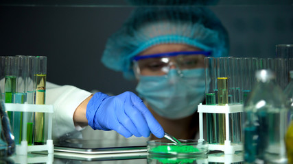 Laboratory worker taking green powder sample from petri dish, experiments