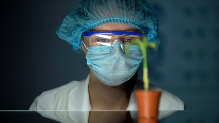 Biologist observing plant growth in lab conditions, environment influence