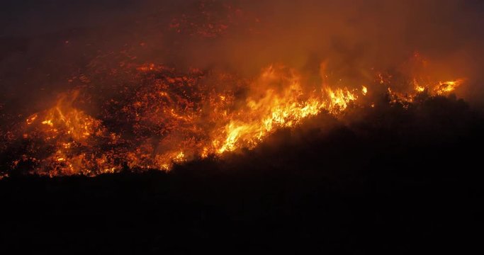 Closeup of wildfire burning on the Scottish moorland.
