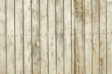 Old painted wooden door background texture