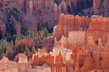 Bryce Canyon Glowing in the Early Morning Sunshine