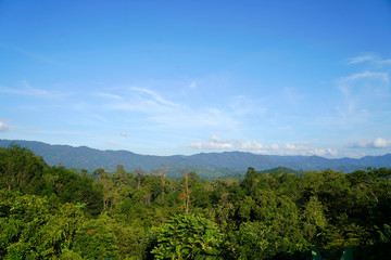 Fototapeta premium Bright background sky Fertile mountains And enjoy, with your eyes and the sky clear, in Pattani Province, Thailand