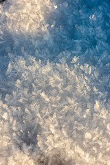 Fototapeta na wymiar frozen snow flakes close up