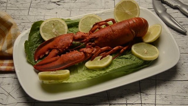 Homarus gammarus Astice Lobster Bogavante