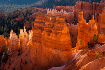 Bryce Canyon Sculpted by Nature