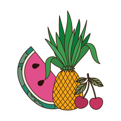 delicious tropical fruits of summer on white background