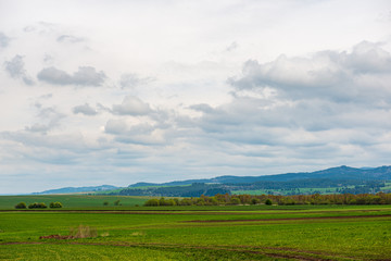 Fototapeta na wymiar green meadow under blue sky in countryside