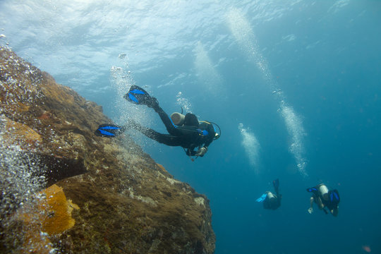Fernando de Noronha