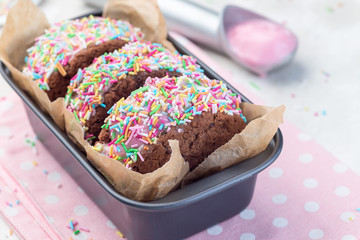 Homemade ice cream sandwich with chocolate chip cookie, watermelon ice cream and covered with colorful sprinkles, horizontal