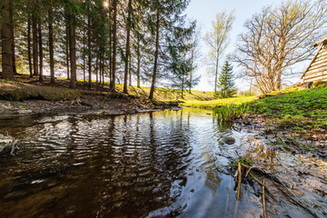 calm forest river hiding behind tree branches