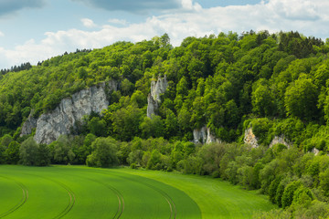 Felsen im Naturpark Obere Donau bei Inzigkofen