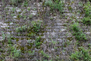 old stone wall with grass bushes and other vegetation on it