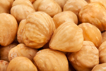 hazelnut
