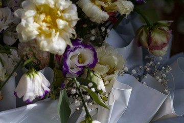 composition of pink and white roses on a blurred background