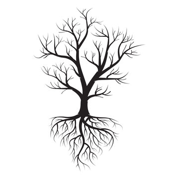 Vector illustration a dead tree