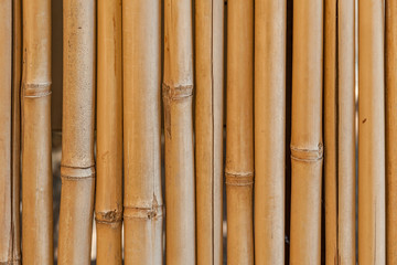 abstract background of an old fence of bamboo close up