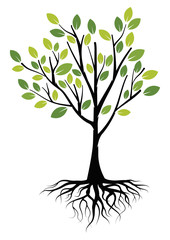 Illustration Green Tree with Roots