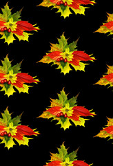 watercolor black pattern with a bouquet of autumn leaves