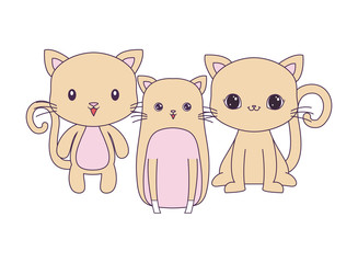 cute cats animals isolated icon