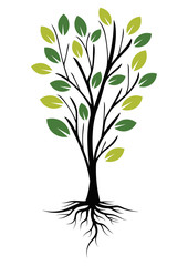 Illustration Tree with Roots