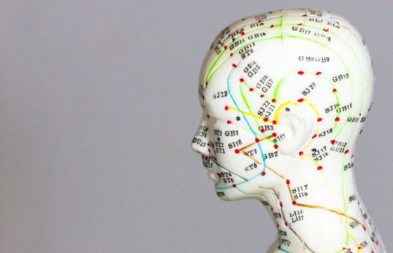 Manequim com meridianos de acupuntura