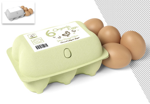Download Egg Carton Mockup Stock Template Adobe Stock