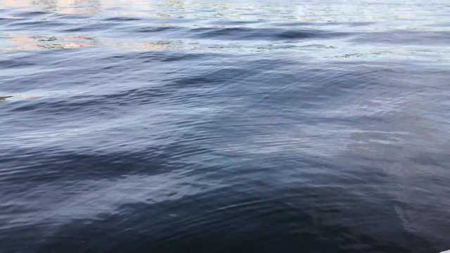 waves on water