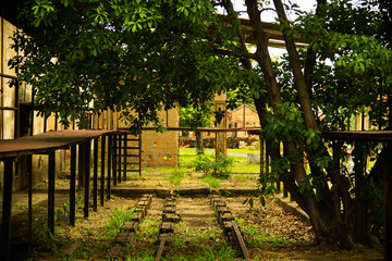 bridge in the park