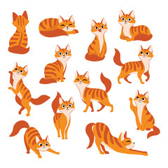 Red cute cat in different poses. Vector cartoon flat illustration. Funny playful kitty isolated on white background - 270858946