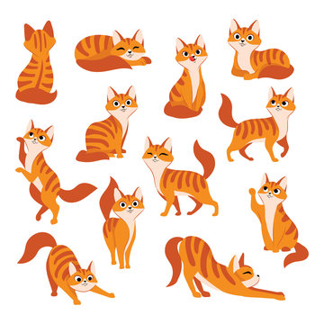 Red cute cat in different poses. Vector cartoon flat illustration. Funny playful kitty isolated on white background