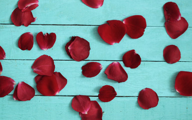 Roses petals on wooden background. Valentines day concept