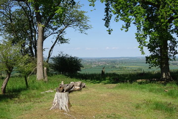 Fototapeta premium The rolling hills of the Dunstable Downs - Whipsnade, Bedfordshire, England, UK