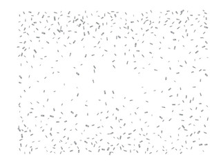 Ordinary money rain fantasy. 