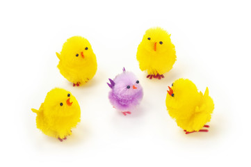 Easter chicks diversity