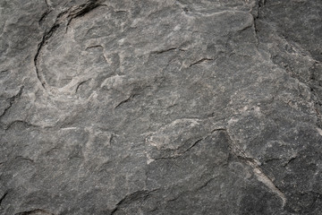 Fototapeta premium Limestone texture close up